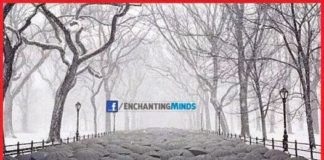 Concerns of a parent of a special child