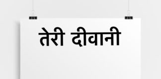 तेरी दीवानी