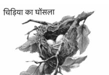 चिड़िया का घोंसला