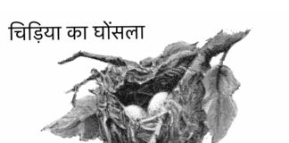 चिड़िया का घोंसला